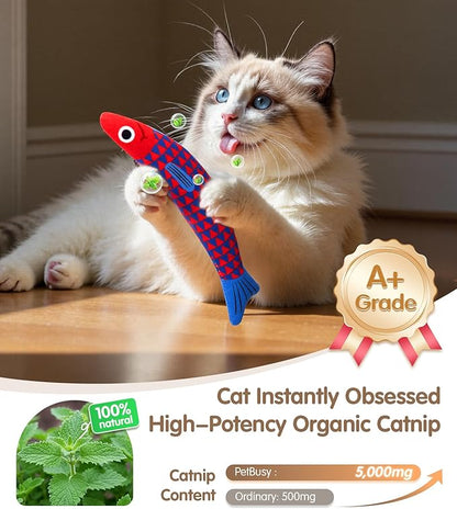 PetBusy Interactive Cat Toys with[5000mg Premium A+Catnip][Baby Grade] Soft Chew Kicker Cat Toys for Indoor Cats & Kittens, Crinkle &Rattle Fish Sound Toy, Drives Bored Cats Crazy with Fun,3 Pack