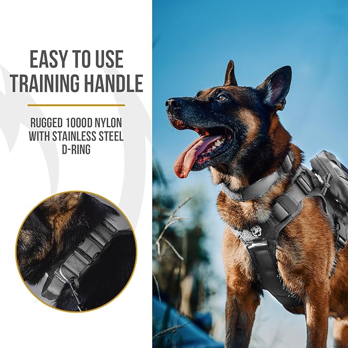 OneTigris Tough Dog Collars, Tactical Dog Collar with Handle, Milltary Adjustable Dog Collar with Heavy Duty Metal Buckle for Training (Gray, S)
