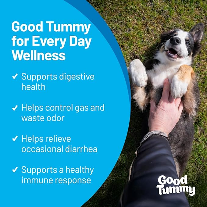 Pet HealthWorks Good Tummy Probiotic Chews for Dogs – Supports Digestive Health, Controls Gas, Promotes Healthy Immune Function – Beef Flavor, 60 Soft Chews