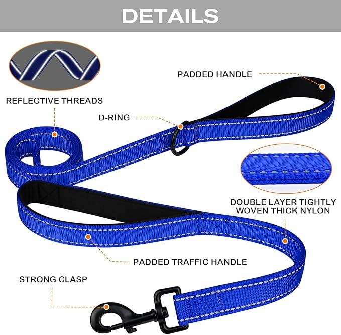 Joytale Dog Leash Heavy Duty for Large Dogs That Pull, Double Handle for Traffic Control, Double-Sided Reflective Leashes for Large Medium Dogs Night Safety, 6FT, Royal Blue