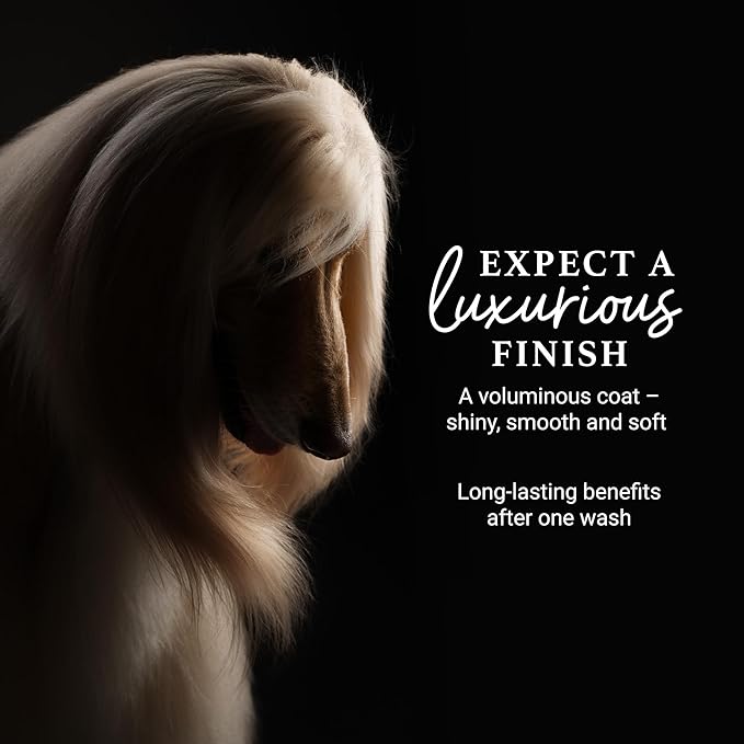iGroom Deshedding & Detangling Dog Shampoo, Luxury Pet Beauty Care, Loosen Tangles + Unwanted Undercoat, Adds Shine + Volume, Made in USA (1 GAL)
