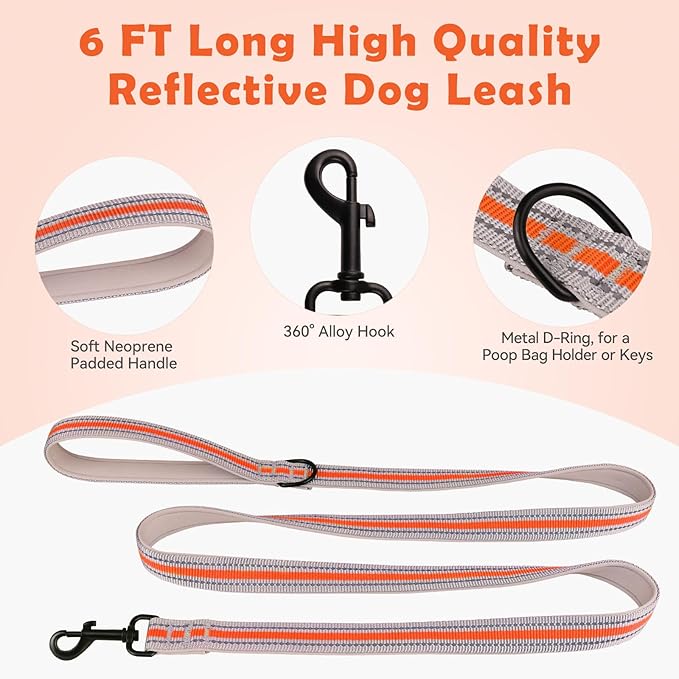 Martingale Collar for Dogs,Soft Neoprene Padded Reflective Martingale Collar and Leash Set Safety Buckle Nylon Martingale Collar for Puppy(Orange&XS)