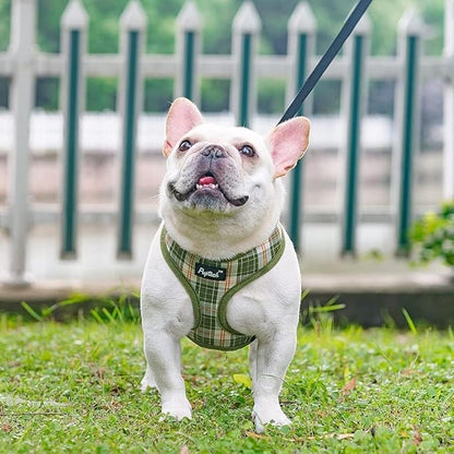 PUPTECK Soft Mesh Dog Harness and Leash Set Pet Puppy Cat Comfort Padded Vest No Pull Harnesses, Olive Green, S