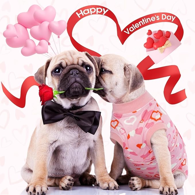 Kuoser Dog Surgery Recovery Suit, Valentine's Day Doggie Surgical Shirt for Female Male Dogs, Pet Onesies for Small Medium LargeDogs