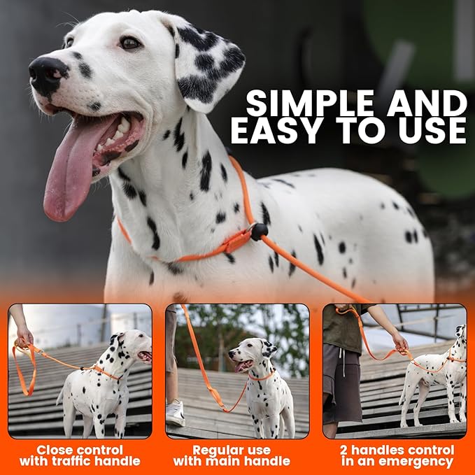 HOWGO Dog Slip Lead Dog Leash,Training Leash,Cinch Leash, No-Pull Slip Leash and Collar,Heavy Duty&Durable,Padded Handle,for All Breeds(Multicolor, 5FT)