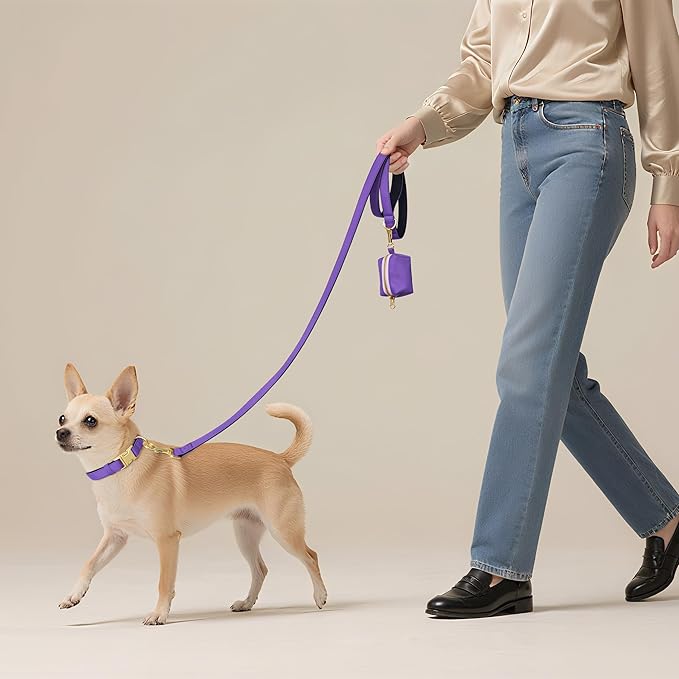Didog Soft Padded Dog Collars for Small Dogs, Colorful and Durable Dog Collar with Quick Release Buckle, Light and Breathable for Daily Walking, Purple, S