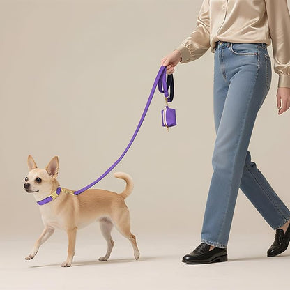 Didog 5FT Colorful Nylon Dog Leash with Soft Full-Length Padding, Lightweight and Durable Pet Leash for Small Dogs, Purple, S