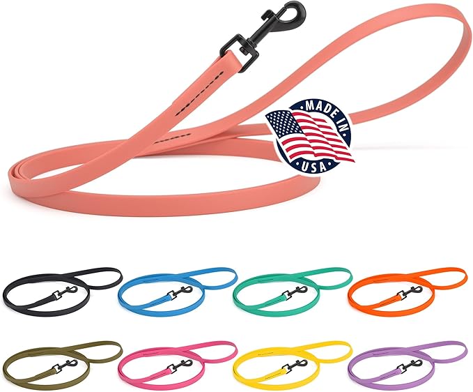 Dogline Biothane Waterproof Dog Leash Strong Coated Nylon Webbing with Black Hardware Odor-Proof Easy to Clean High Performance for Small or Large Dogs Made in USA 4 or 6 ft Lead, Coral