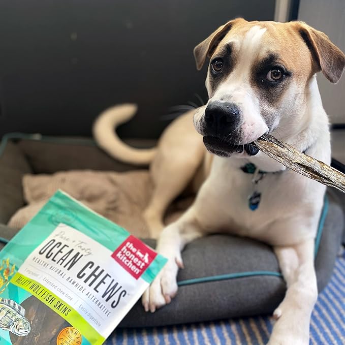 The Honest Kitchen Human Grade Ocean Chews Hearty Wolffish Skins Dog Treats, 6 oz (Beams)