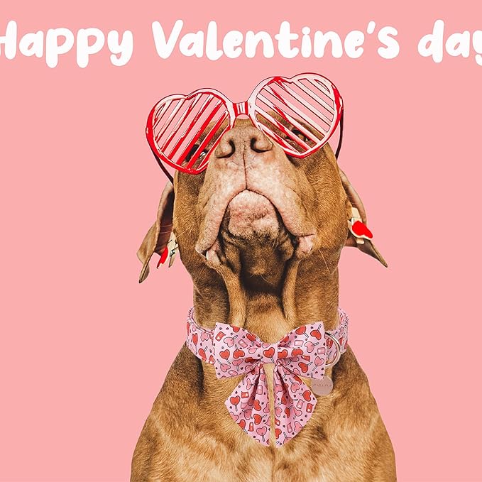 UP URARA PUP Valentine’s Day Dog Collar with Bow Tie, Pink Heart Bowtie Collar with Metal Buckle, Valentine’s Day Gift Pet Collar for Puppy Girl Boy Dog or Cat, Wedding Dog Collar,XL, Neck 16-26in