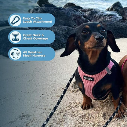 Best Pet Supplies Voyager Step-in Air Harness - All Weather Mesh, Reflective, No Pull Harness for Dogs, Cats - Secure with Hook & Loop Fastener, Buckle, Double D-Rings - Pink/Black Trim, M