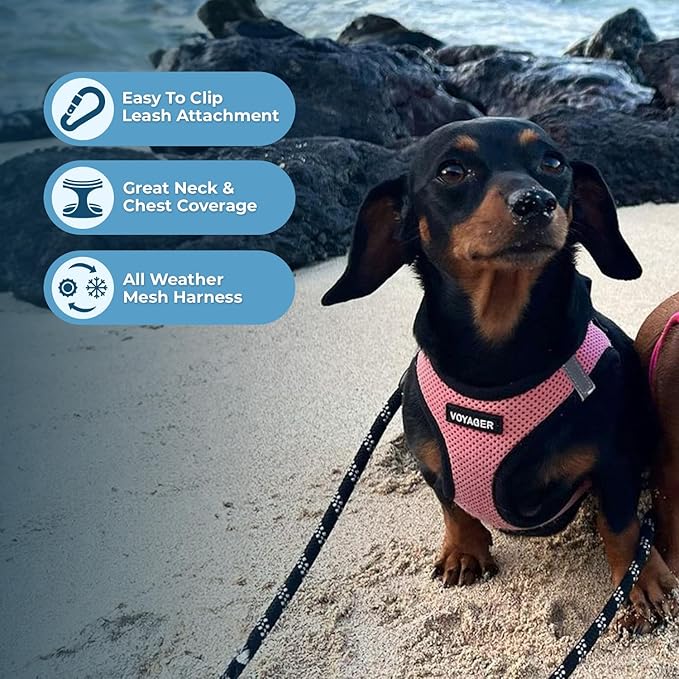 Best Pet Supplies Voyager Step-in Air Harness - All Weather Mesh, Reflective, No Pull Harness for Dogs, Cats - Secure with Hook & Loop Fastener, Buckle, Double D-Rings - Pink/Black Trim, XL