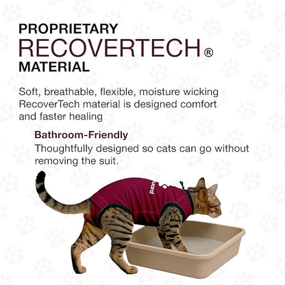 Bellyguard Cat Recovery Suit for Female and Male, Cat Surgery Suit Alternative, Onesie for After Spay Care, Post-Surgery Protective Body Cover for Feline and Kitten Healing