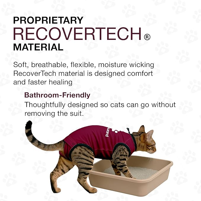 Bellyguard Cat Recovery Suit for Female and Male, Cat Surgery Suit Alternative, Onesie for After Spay Care, Post-Surgery Protective Body Cover for Feline and Kitten Healing