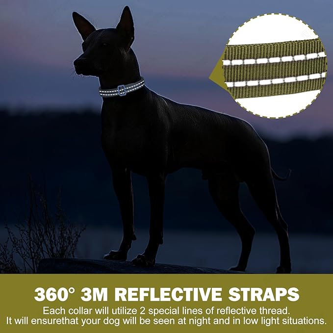 Tacwild Adjustable Reflective Dog Collar, Puppy Collar with D-Ring Buckle - Durable Safety Nylon Dog Collars for Medium Dogs (Green-M)