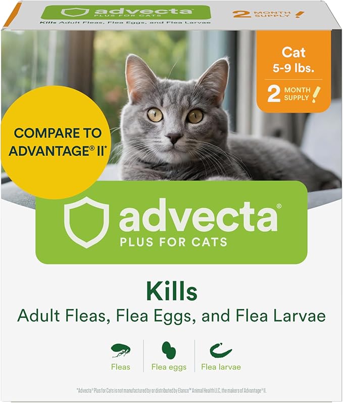 Advecta Plus Topical Flea Treatment for Cats and Kittens, Flea Prevention and Control, Small & Large, Fast-Acting Waterproof Drops, 2-Month Supply