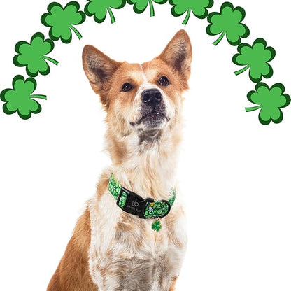 St. Patrick's Dog Collar, Cotton St. Patricks Clover Collar for Puppy Girl Boy Dog or Cat, Lucky Shamrock Dog Collar with Metal Buckle, Green, Spring, XS