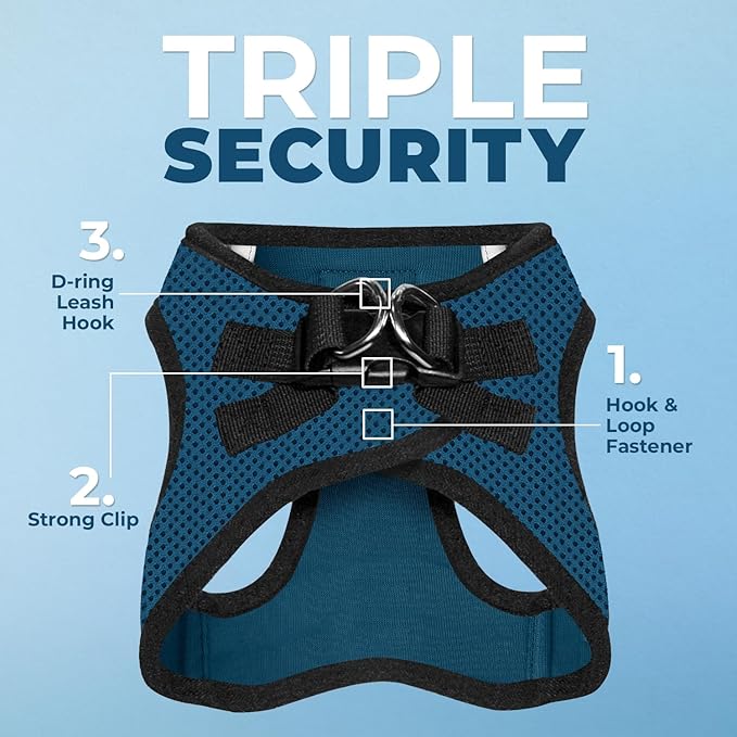 Best Pet Supplies Voyager Step-in Air Harness - All Weather Mesh, Reflective, No Pull Harness for Dogs, Cats - Secure with Hook & Loop Fastener, Buckle, Double D-Rings - Blue/Black Trim, L
