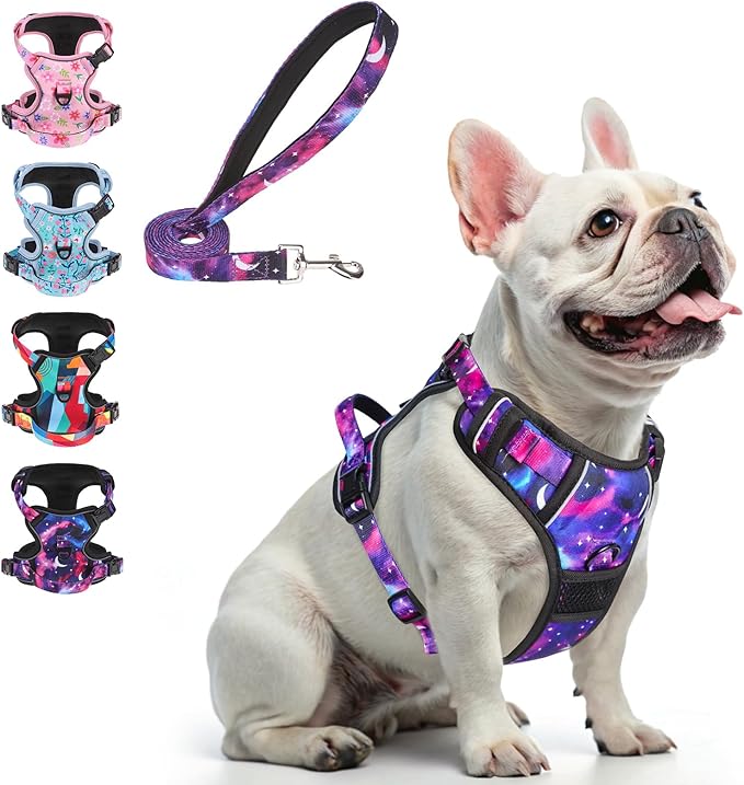 BEAUTYZOO No Pull Dog Harness and Leash Set for Small Dogs, Adjustable Dog Vest Harnesses with 2 Metal Leash Clips, Reflective Oxford No Choke Escape Proof Step in Pet Vest with Handle, Purple S