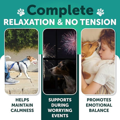 Hemp Calming Chews for Dogs - Dog Calming Chews - Dog Anxiety Relief Treats with Hemp Oil, Turmeric, Valerian, Ginger - Health and Wellness Supplements for Dogs - Hip and Joint Support - 120 Treats