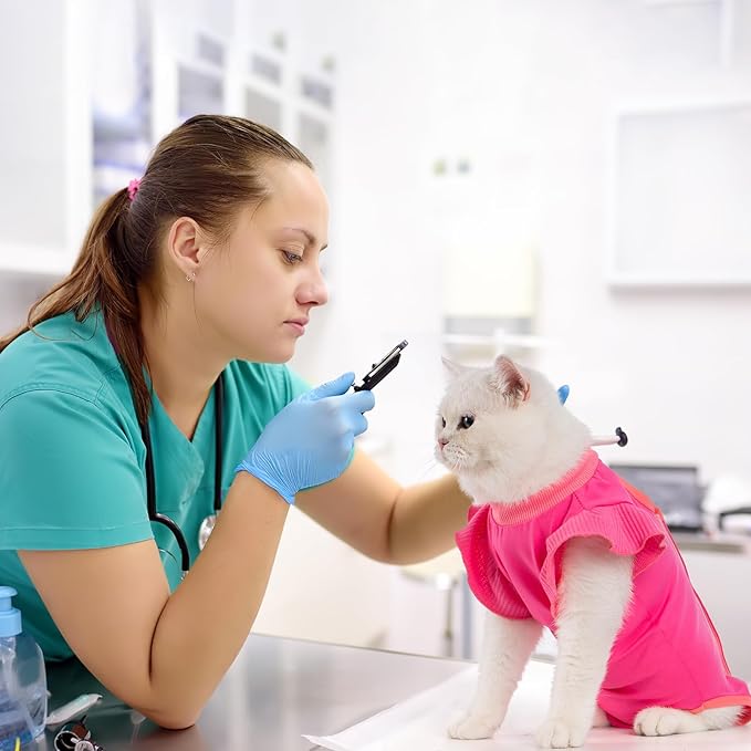 Avont Cat Recovery Suit - Post-Surgery Onesie for Cats, Alternative to Cone of Shame, Protective Spay Suit for Female Kitten, Ideal for Healing and Skin Conditions -Magenta(M+)