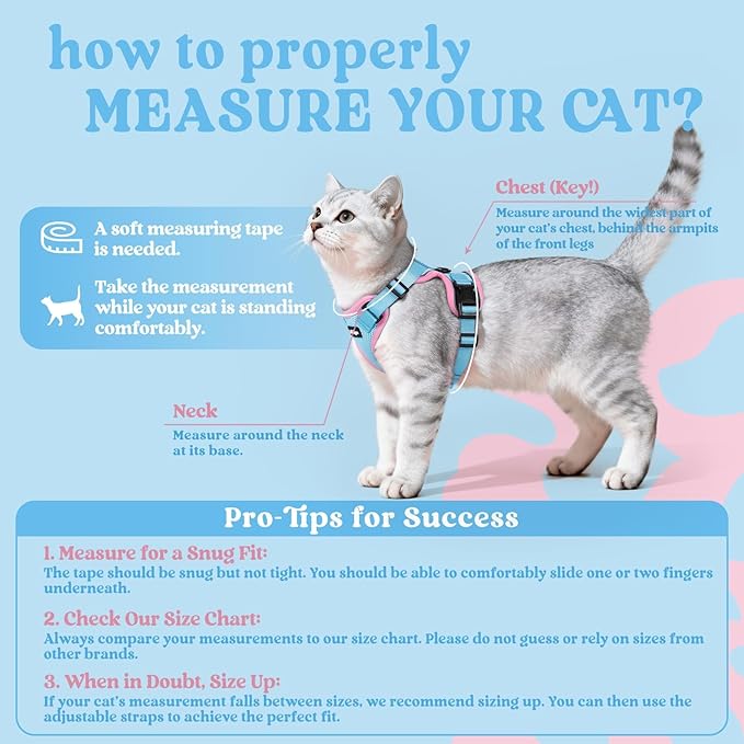 rabbitgoo Cat Harness and Leash for Walking, Escape Proof Soft Adjustable Vest Harnesses for Cats, Easy Control Breathable Reflective Strips Jacket, Light Blue&Pink, M