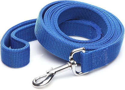 Strong Nylon Dog Leash with 2-Layer, 4 FT/ 6 FT/ 7FT Long, 1 Inch Wide for Medium Large Dogs (Blue, 1'' x 2 FT)