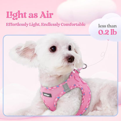 rabbitgoo Dog Harness Small Sized and Leash Set, Step in Soft Light Puppy Vest, Breathable Mesh Pet Harness, Reflective for Safe Easy Walking, Pink & Plaid Trim M