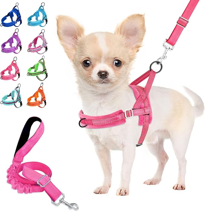 Lukovee No Pull Dog Harness and Leash Set, Soft Padded Small Dog Harness, Neck & Chest Adjustable Reflective Vest Puppy Harness with 4ft Lightweight Anti-Twist Dog Leash for Small Dogs (XXS, Pink)