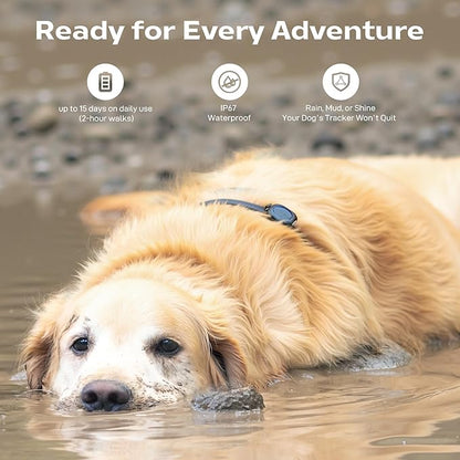 Aorkuler Outdoor GPS Dog Tracker for No-Signal Areas - Outdoor Pet Locator Finder Tracker, Real-Time Tracking for Hiking/Walking/Camping, Works in Remote Wilderness/Farms/Large Parks