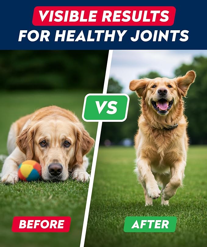 Glucosamine Treats for Dogs - Joint Supplement w/ Omega-3 Fish Oil - Chondroitin, MSM - Advanced Mobility Chews - Joint Pain Relief - Hip & Joint Care - Peanut Butter Flavor - 180 Ct - Made in USA