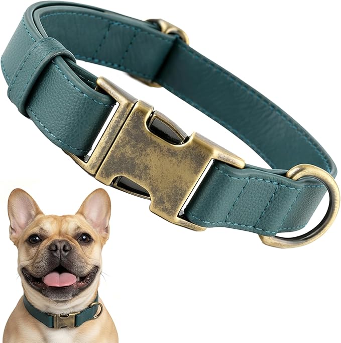 Leather Dog Collar Silicone Soft Flexible Waterproof Odor-Proof Durable Thick Classic Adjustable Pet Puppy Collar Dog Collars for Small Dogs(Green, Small (9-14" Neck))