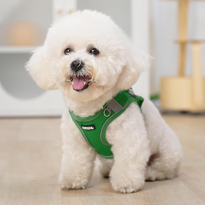 AIITLE Dog Harness, No-Pull Cat Harness with a Leash, Adjustable Reflective Dog Vest, Cat Harness Escape Proof, Outdoor Walking, Running,Training for Extra Small Dogs and House Cats Green XXXS