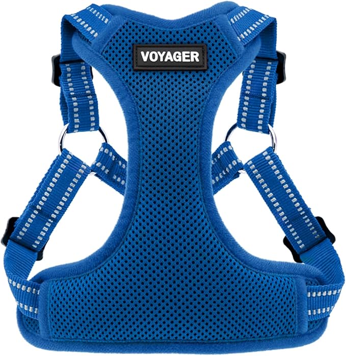 Best Pet Supplies Voyager Adjustable Step-in Flex Breathable Mesh Dog Harness for Small Medium Large Dogs (Royal Blue), L