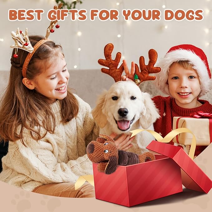 Squeaky Dog Toys,Interactive Tug of War Puppy Toys for Indoor/Outdoor Use Puppy Chew Toys for Teething Plush with Crinkle Paper for Small and Medium