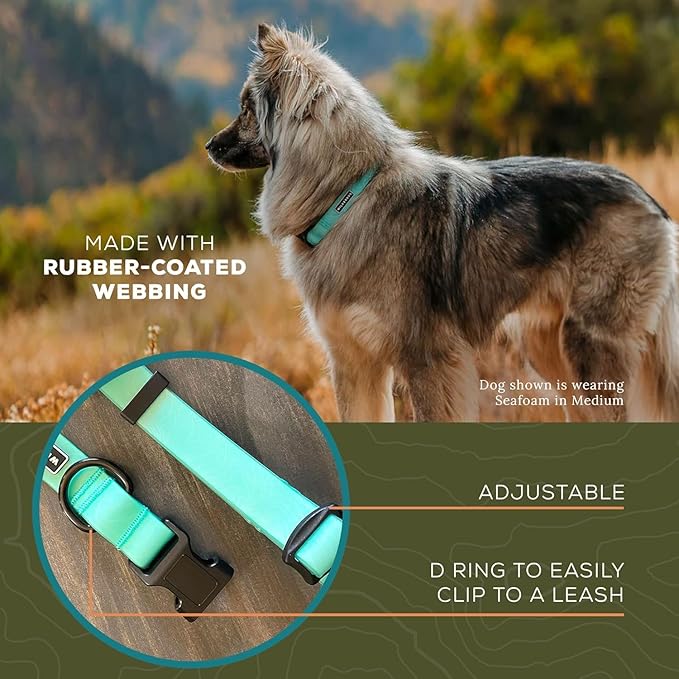 Wilderdog Waterproof Dog Collar - Repels Water & Dirt - Large 17"-24" - Seafoam
