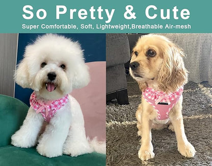 SuperBuddy Upgraded Soft Mesh Dog Harness, Super Breathable Lightweight Pet Harnesses for Puppy Dogs Outdoor Walking, Pink Dog Harness and Dog Leash Set Packing -XSmall