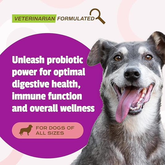 Pet Naturals Daily Probiotic Soft Chews for Dogs, Digestive and Immune Support Supplement, 1 Billion CFU Per Chew, Duck, 160 Count