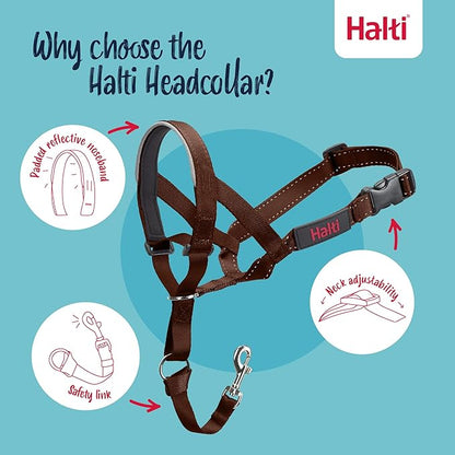 Halti Headcollar - Stop Your Dog Pulling on The Leash. Adjustable, Reflective and Lightweight, with Padded Nose Band. Dog Training Anti-Pull Collar for Small Dogs (Size 1, Deep Walnut)