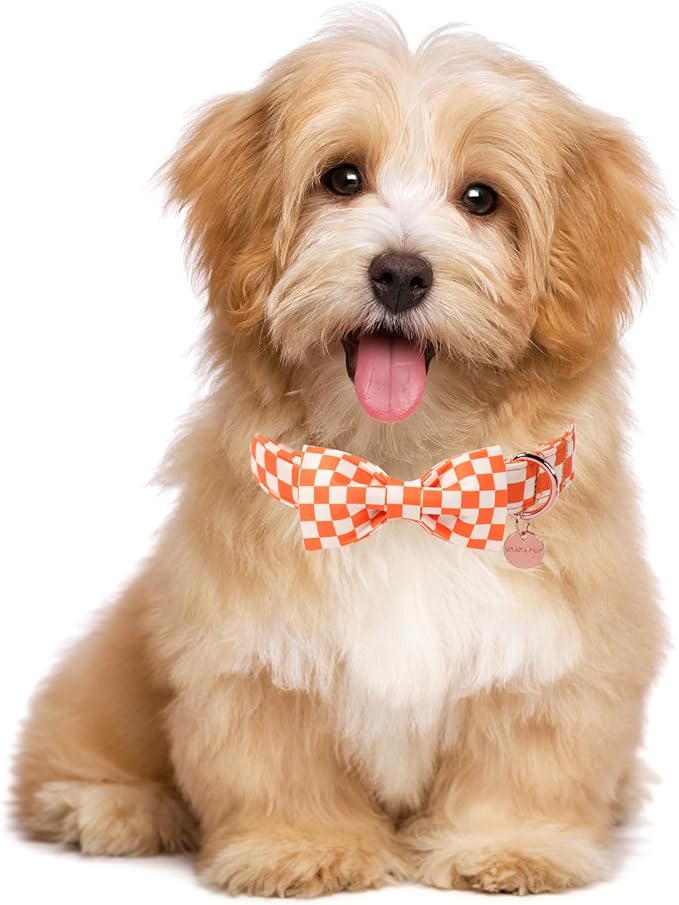 Fall Dog Collar with Bow Tie, Orange Plaid Bowtie Dog Collar, Autumn Bowtie Collars for Puppy Boy Girl Dogs, Comfortable Cotton Dogs Collars with Metal Buckle