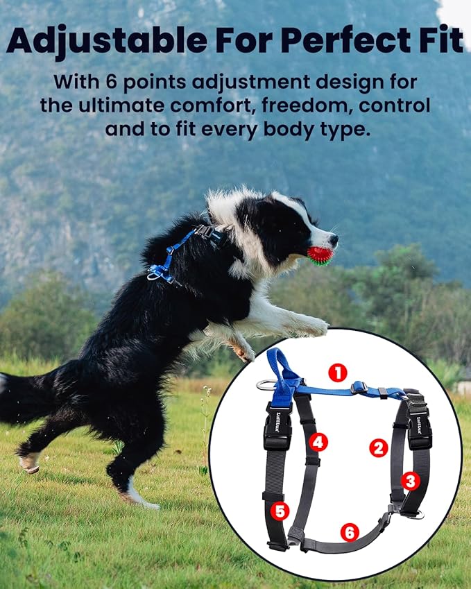 Non-Restrictive Dog Harness, Neck Buckle Design, Easy Walk Freedom No Pull Harness, Keep Balance, Six Points Adjustment, for Large Dogs Chest(25-35 inches) Blue/Black