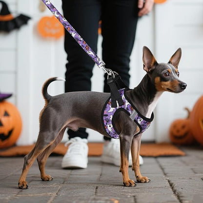 KOOLTAIL Halloween Dog Harness and Leash Set for Small Medium Dogs, Step in No Pull Soft Mesh Harness Comfort Padded Pet Vest, Adjustable Reflective Easy Walking Puppy Cats Harness Training, Ghost S