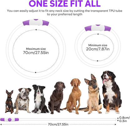 HIGO Light Up Dog Collar, LED Dog Collar for Night Safety with 3 Modes, Type-C Rechargeable & Adjustable TPU Material for Small Medium Large Dogs (Purple)