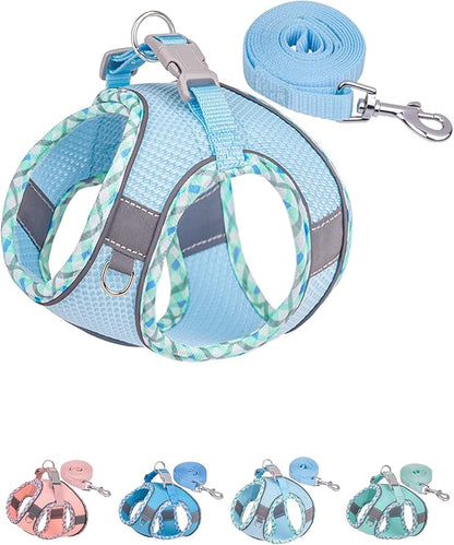 Petank Dog Harness for Small Medium Dogs No Pull, Puppy Harness and Leash Set, Step in Dog Harness for Walking, Running, Training, Small Dog Vest(Light Blue, XS)