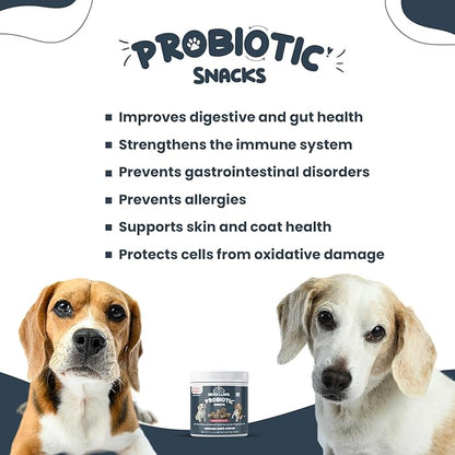 Bruno & Lukas Probiotic Chews for Dogs – Digestive Health & Gut Flora Support – Dog Probiotics for Diarrhea, Loose Stools, Itchiness & Immune Support – 90 Chews, Made in USA