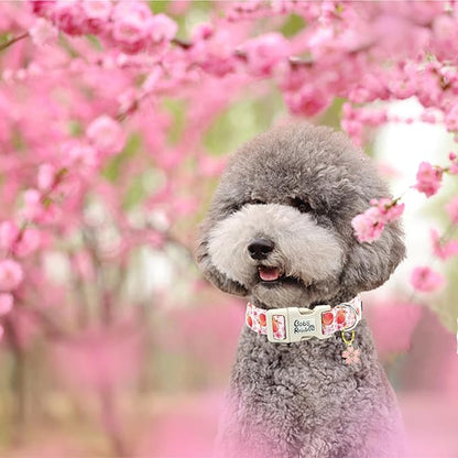 Dog Collar-Cute Pink Peach Print Adjustable Pet Collars Spring Comfortable Cotton Puppy Collar Gift for Medium Dogs