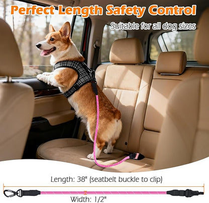 PetBonus Dog Seat Belt for Car, Durable Rope Dog Car Harness Seatbelt for Vehicle, Pet Tether Safety Restraint with Heavy Duty Buckle Hook Latch Lockable Clip for Small Medium Large Breeds (Pink)
