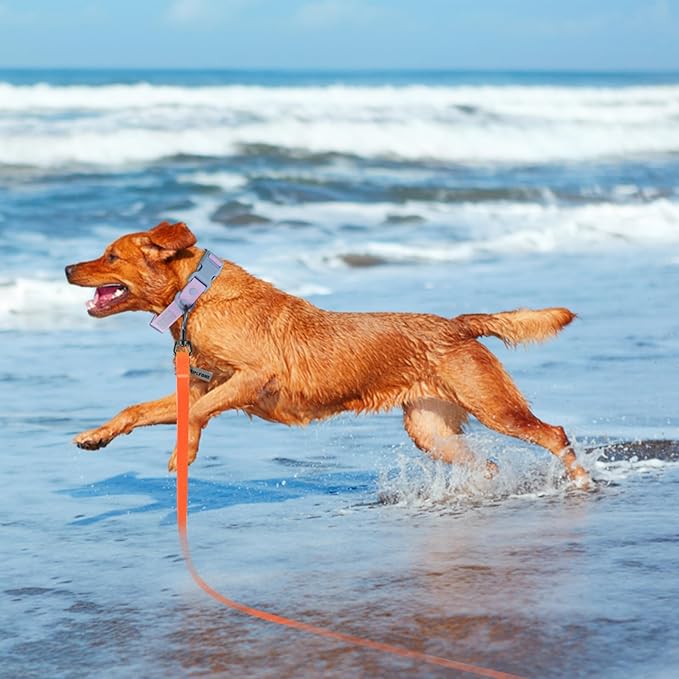 Wolfone 40ft Orange Long Leash - Waterproof Training Dog Leash for Recall, Swimming, Camping, Beach, Hunting, Walking
