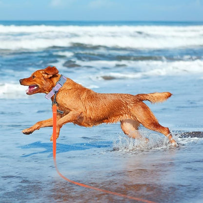 Wolfone 40ft Orange Long Leash - Waterproof Training Dog Leash for Recall, Swimming, Camping, Beach, Hunting, Walking