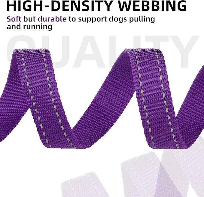 PUPTECK Reflective Dog Leash with Comfortable Padded Handle Durable Nylon Dog Lead for Small Medium and Large Dogs Cats Walking Running Training Outside, Purple